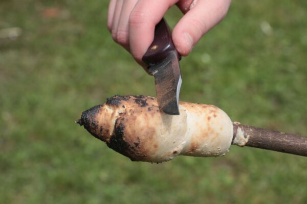 Pfadfinder-Schwanenstatd_GuSp-024