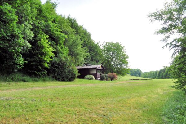 Pfadfinder-Schwanenstatd_Lagerplatz-001