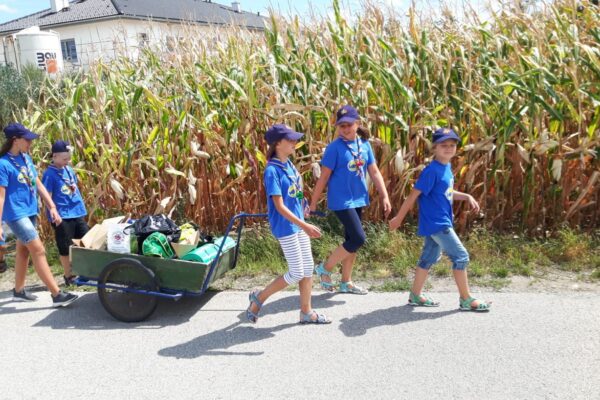 Pfadfinder-Schwanenstatd_WiWoe-011